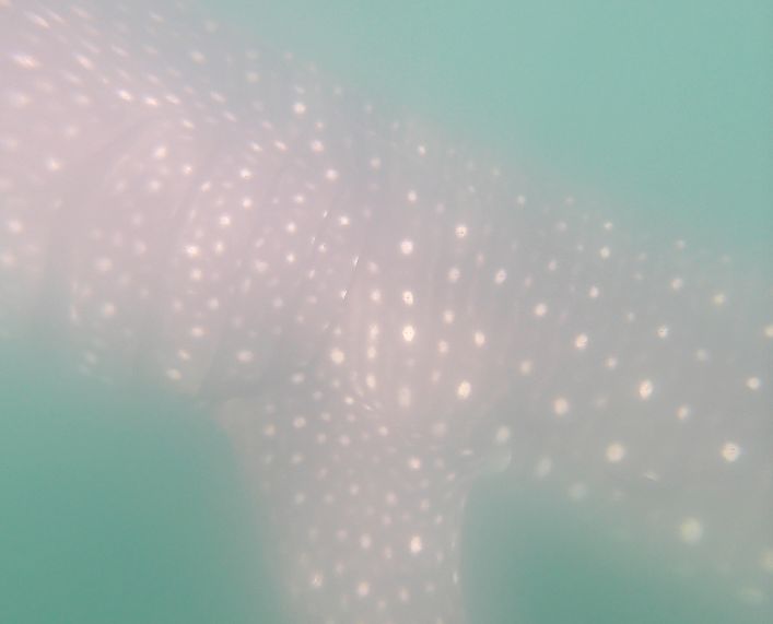 637be410-ce7a-4967-bf77-9af4fca4a77e