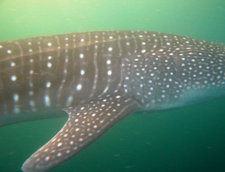 3462b642-0bd3-43a8-9ce7-04d85138cb98