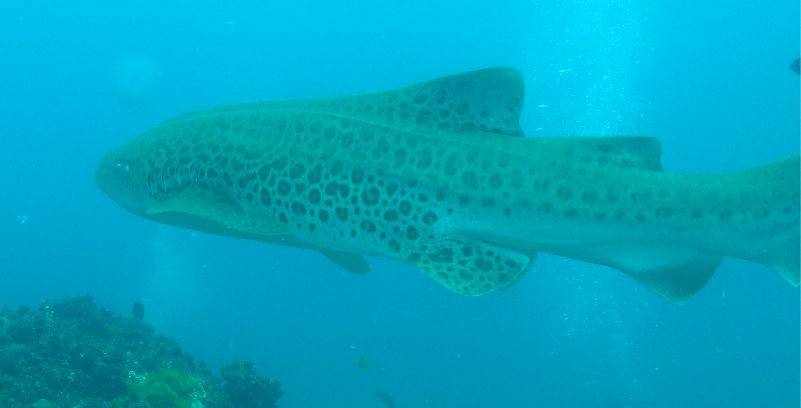 f94b10c7-70ed-4c9c-a2bc-8e44ba2c0cd6