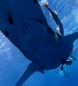 0e10628c-1a94-40f2-af32-748c8558522b