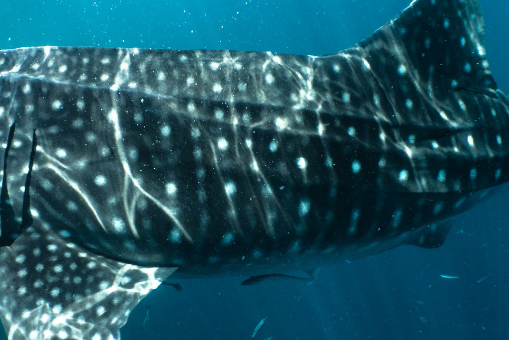 cdbfcbb4-d773-4afd-857a-121c8b0cfb87