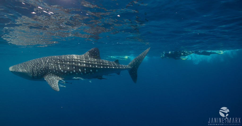 4c487ea2-99ac-4eb2-b1b3-5544460f1043