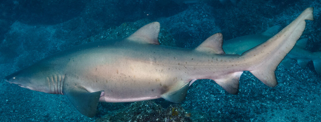 fec13b57-cc00-4320-91aa-31dc8759de37