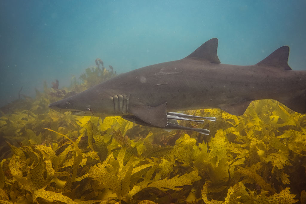 23e6f1d2-a782-4e6c-ac07-27ce05cb568a