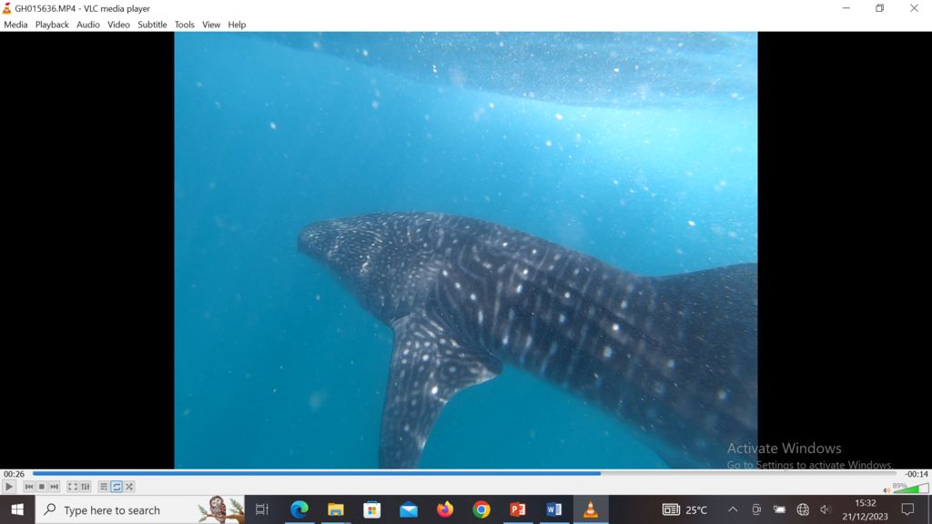 81439374-69a1-4b9b-b3c6-be3ffa743425