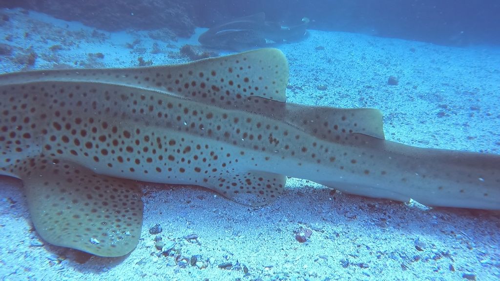 66767c8d-fc7a-44a3-a8ee-835d30b74de8