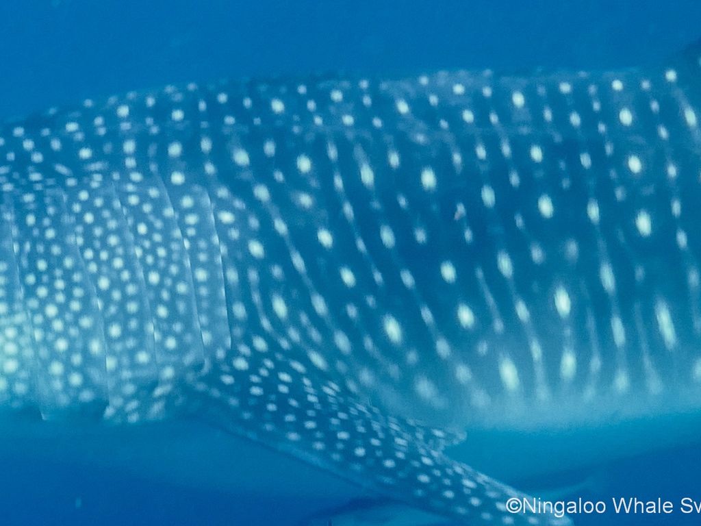 ef144677-a798-478c-93f1-1b17b831df86