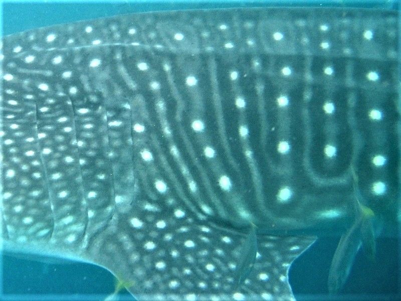 4ea708e4-4936-4e6b-ad28-968820f4181d