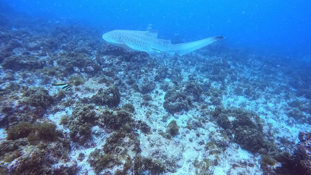 cda8f83f-6b1e-4534-92e1-ce53c8115d6c