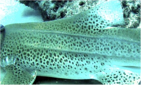 4b152920-a412-4f23-b1e9-1a192750baee