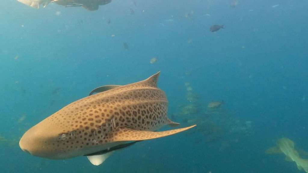 a94a7c22-4cea-4a0a-815b-ccfec7798497