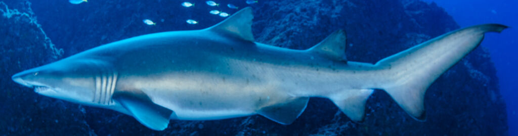 3d7041f0-ffb0-45f8-80ad-d7bef4d9cb2c