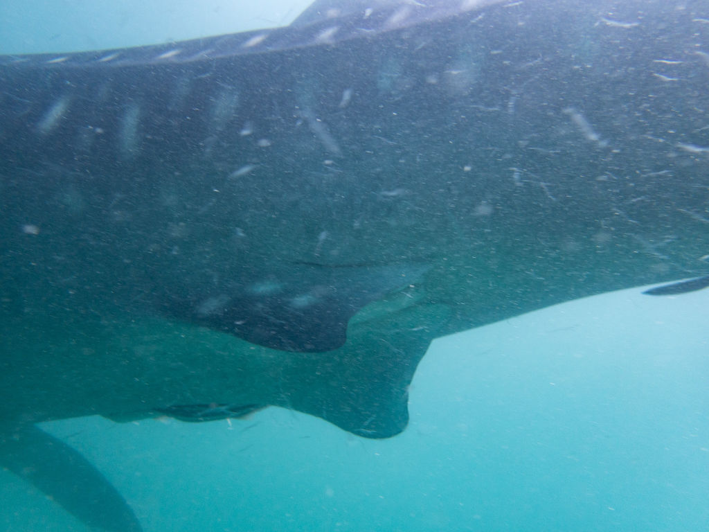 f4057bf8-ee1d-4bb7-a728-23c84c7536ff