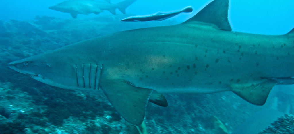 d4a960f8-d018-46d3-9fd6-4ac1a8eb77ad