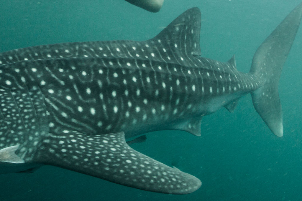 32dcbaff-dd65-4c1b-8595-81476870558e