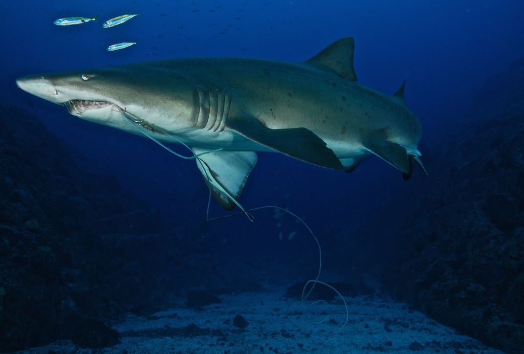 b38df928-ce74-4c8d-b92a-57d03663fe17