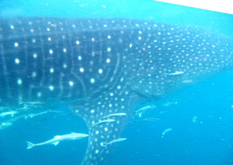 f4b21357-b2e8-4366-8384-c3e0403db03c