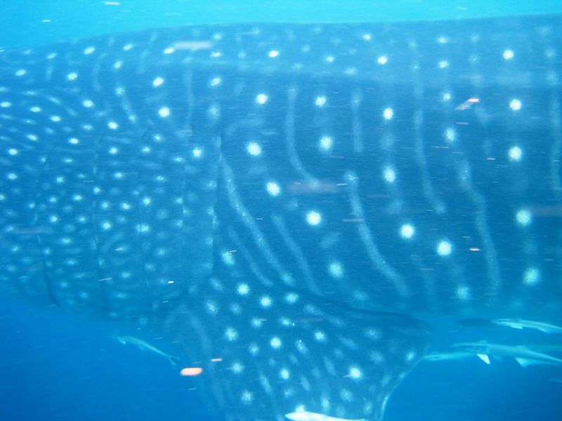 f4b21357-b2e8-4366-8384-c3e0403db03c