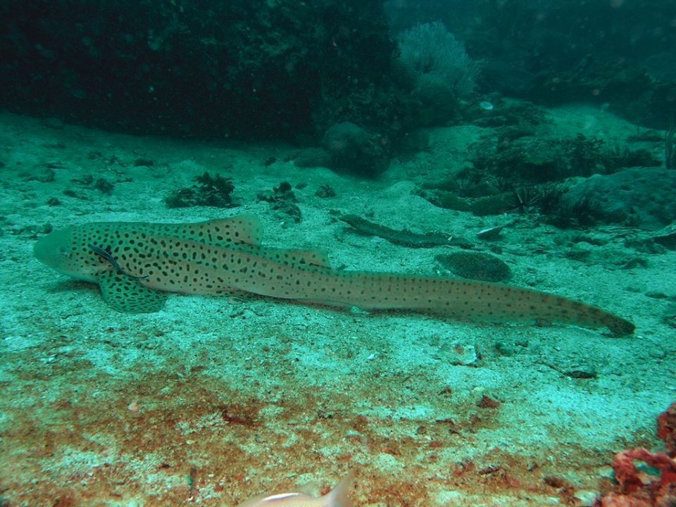 18935a8e-9441-4aa9-a14e-920e05b86764