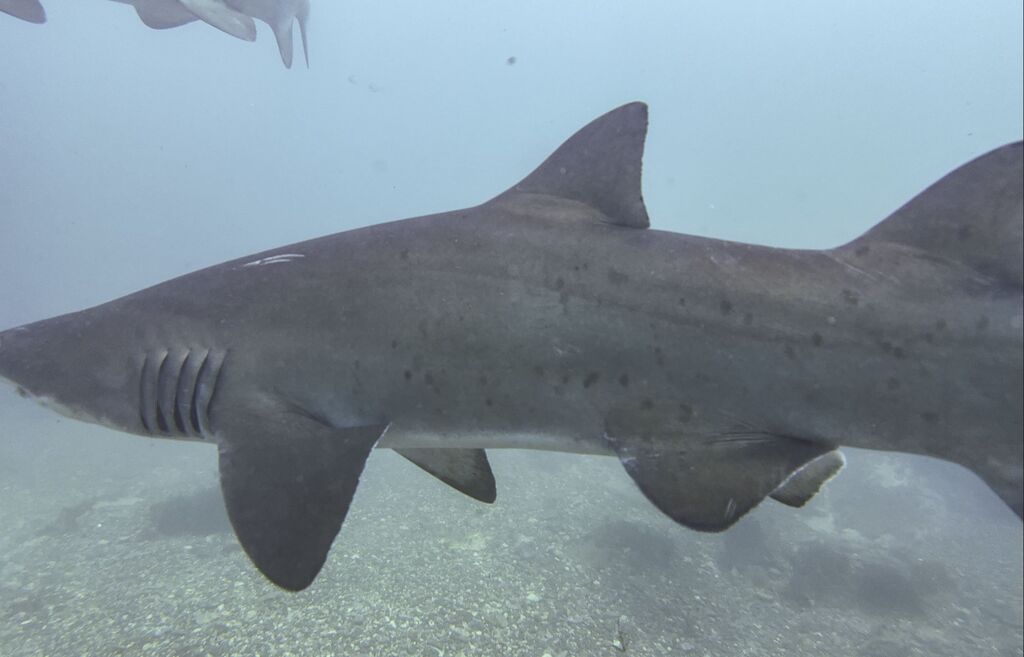 6f32db42-d645-436c-904e-fa5ce0843290