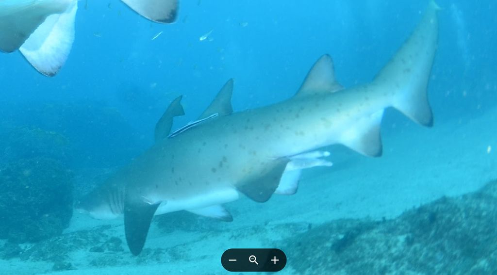 58f5df5b-1781-45fd-ba96-947b87e237a5