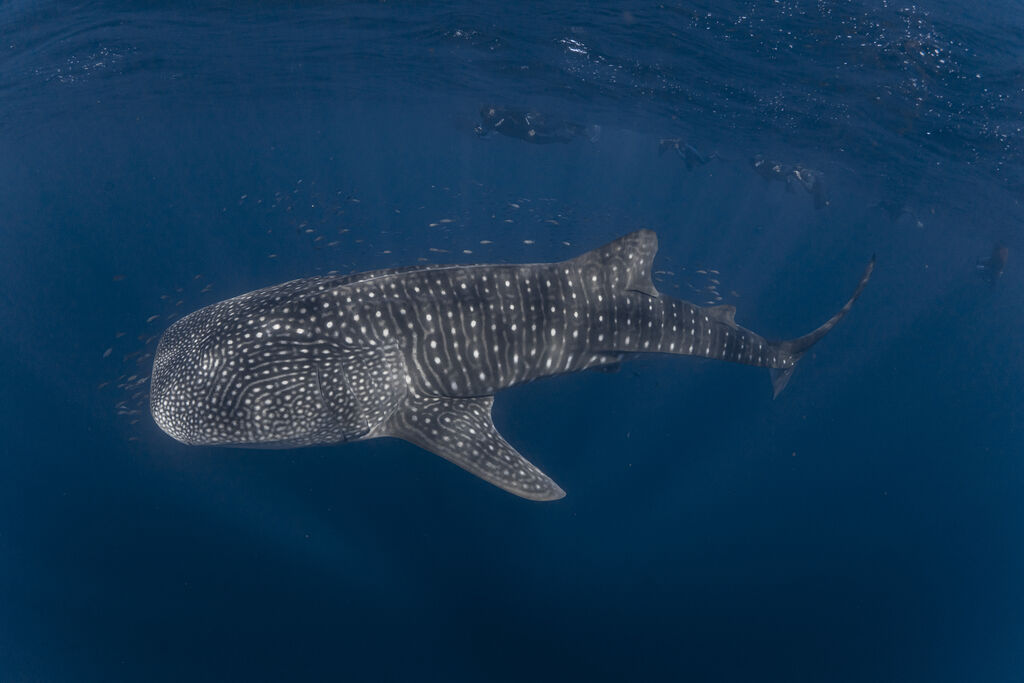 46aeb209-b79c-4843-b8cb-141272ec4aaf