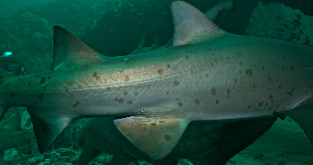 a6199459-11c3-4bd9-88c2-de3b7c5ffb55