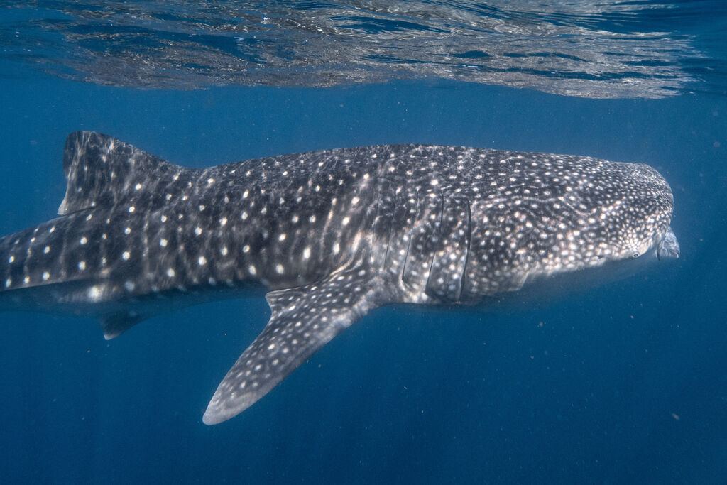 0711061b-1dd3-4bfd-9127-f51677fe72d5