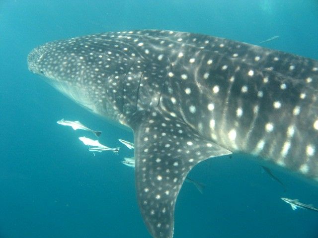 6e93a246-4570-4d8a-9eac-c53b01c33512