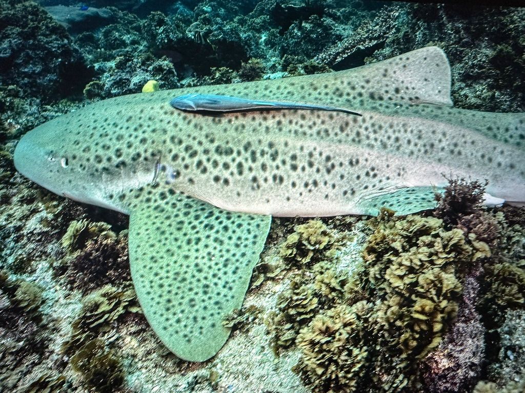 f1b2c74f-49a3-4609-8ec2-1e26f59b9bc1