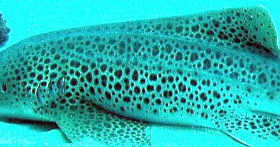 3d91a55b-01c4-4fe9-97b8-4be38afeb78b