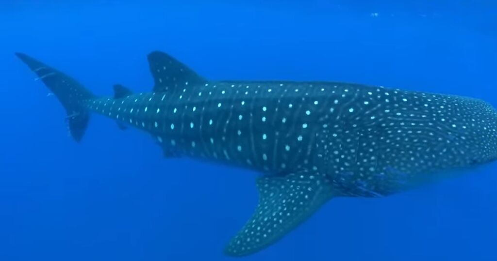 aa7a6073-aad7-4505-b757-9c3948f5a9bd