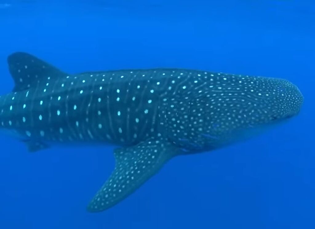 aa7a6073-aad7-4505-b757-9c3948f5a9bd