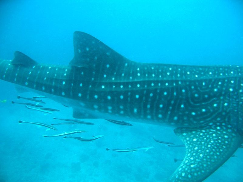 edd9f3fc-d057-44ad-97c1-8d492957c390