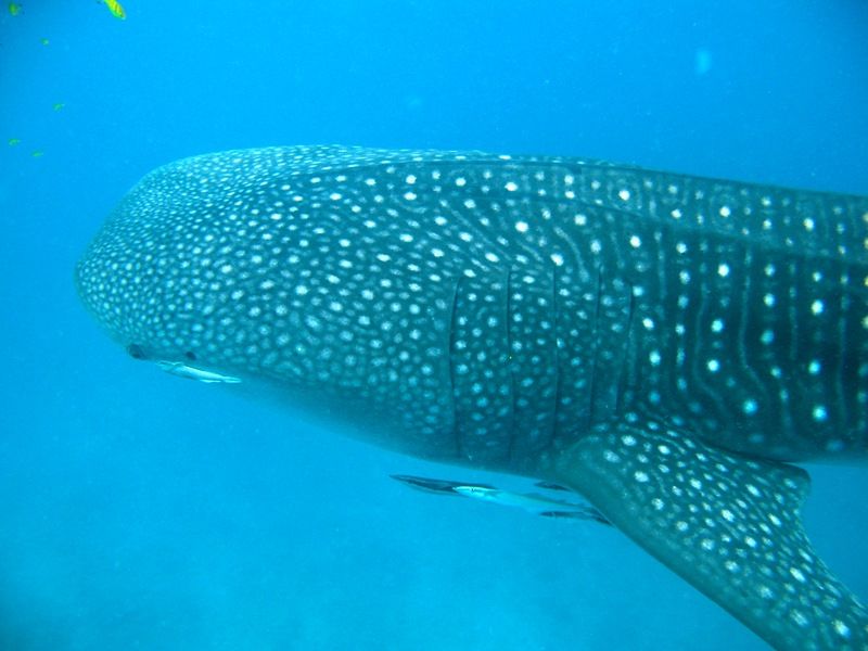 edd9f3fc-d057-44ad-97c1-8d492957c390