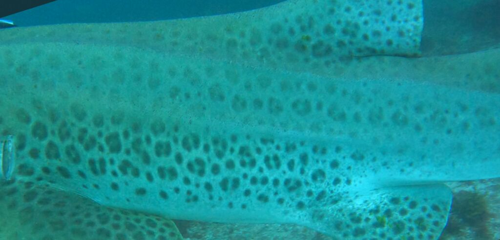 877aebb6-d4c5-41b8-9c0c-05c1d5b07892