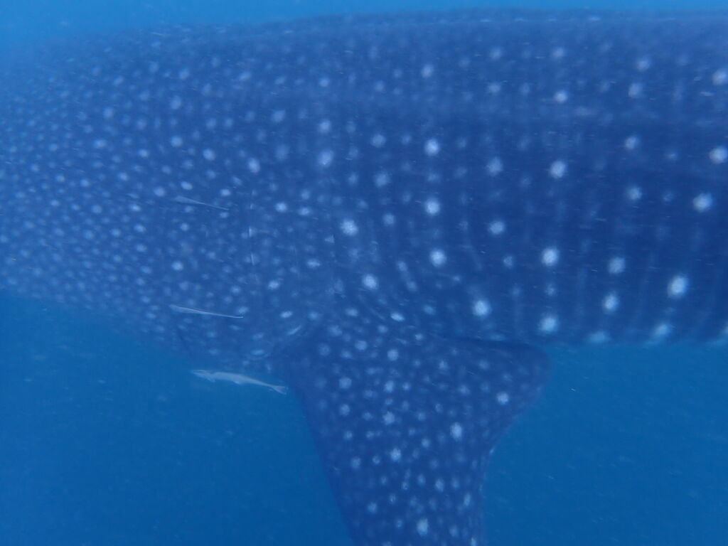 01e73195-db96-4312-aba8-9fc8004d289e