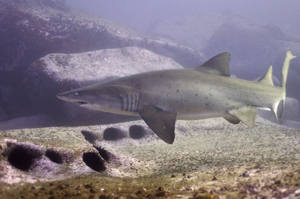 94ee96bb-cfaf-441f-b9a4-bd4836c28f25