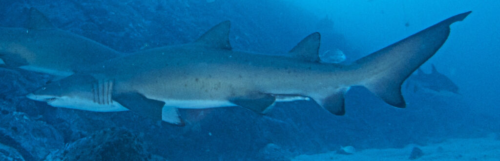 4bb1beec-f3eb-4c0b-8081-19692b8a0d77