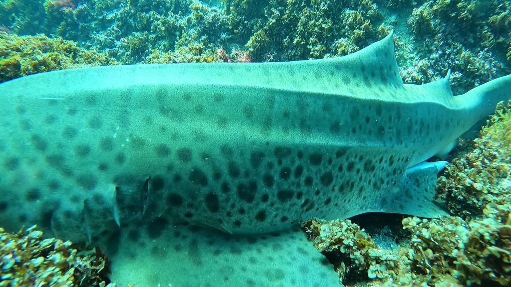 12e124d7-53a5-42c0-9a66-f07cc59eabbf