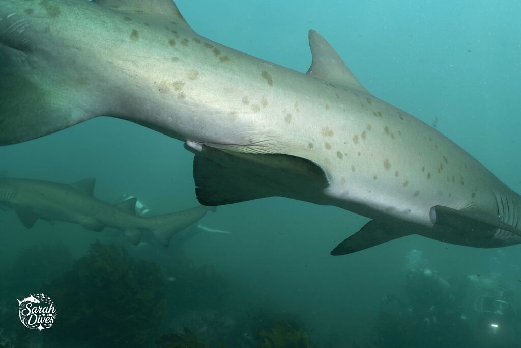 c7db21a1-9038-429c-9bd2-ee39ea572c4a