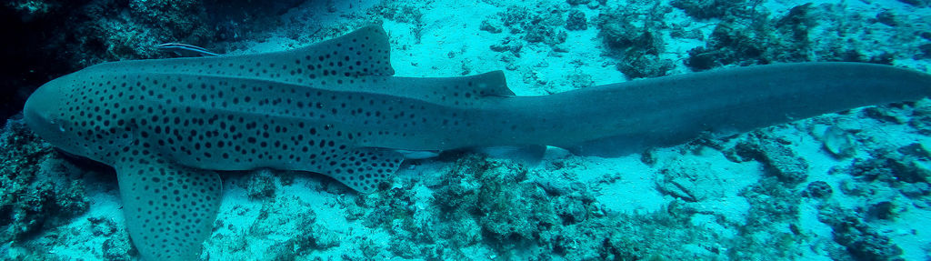 5aa28b29-8657-4893-a9da-5b12b3e170c8