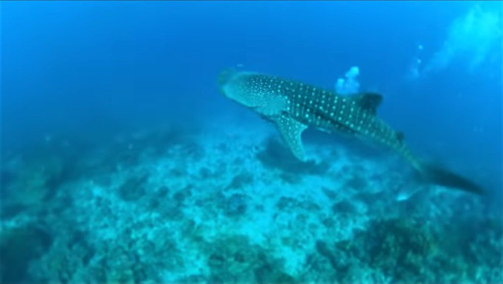 c81c20a9-2b6b-46d1-9b66-7fc8e123d78c