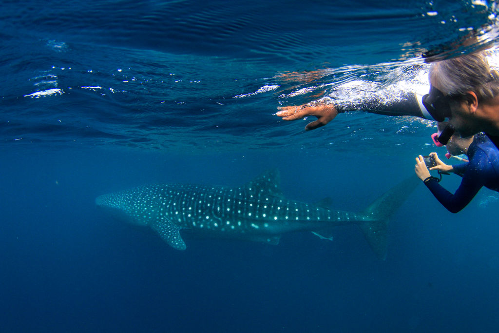 19b09513-66cb-4453-8af1-bdec5a99f3f8