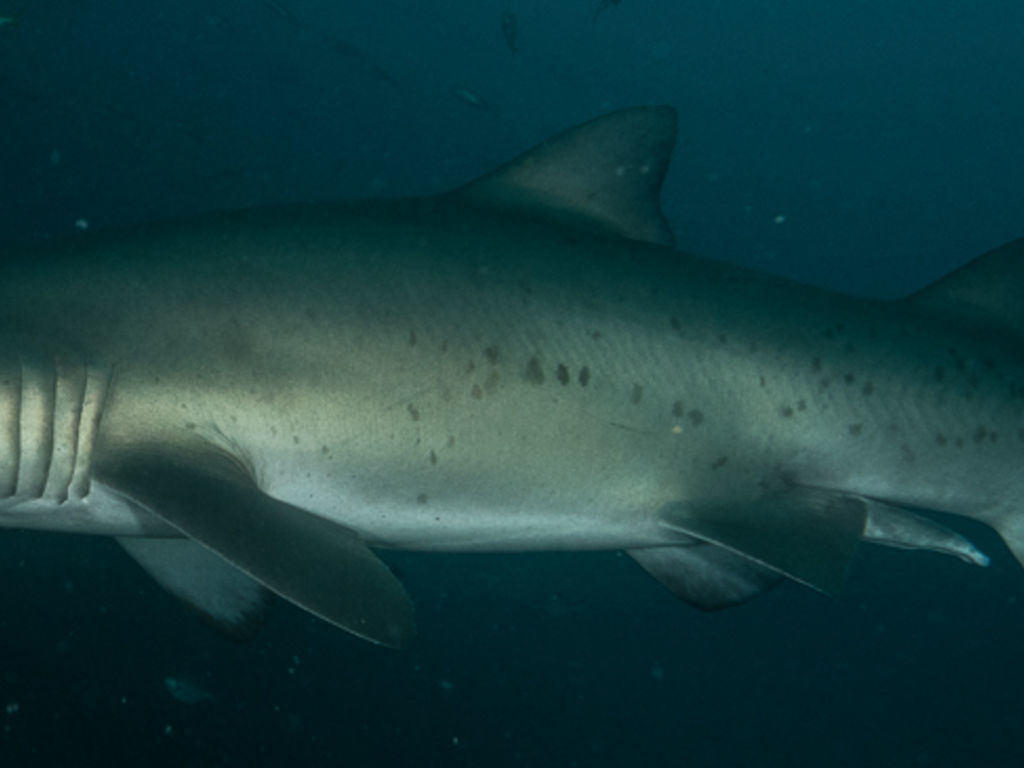 4d0e1848-ef57-44e5-965e-c2abf9e982e2