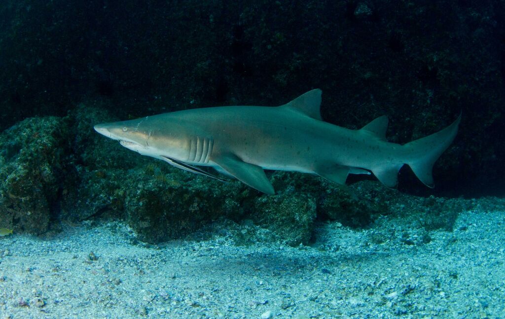 27a989b4-a209-4ff2-86f4-ee6f376c7763