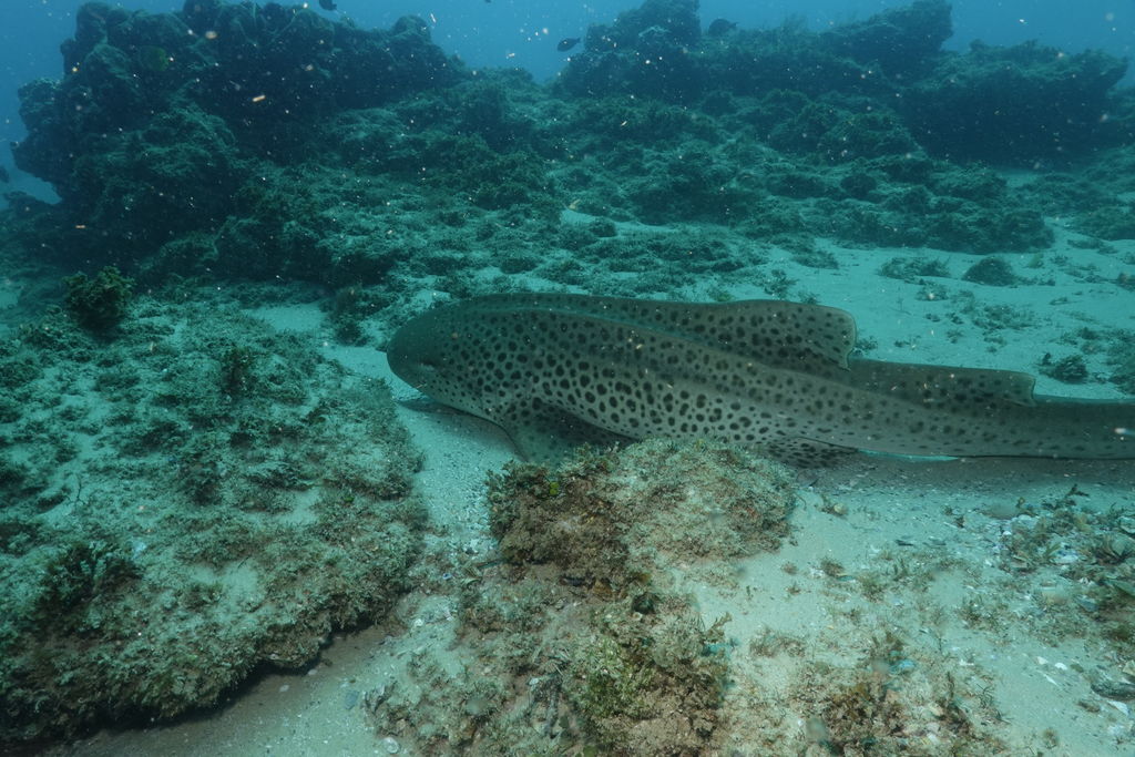 728cd3d4-a7b1-41fe-80dd-d08f3f8f770c