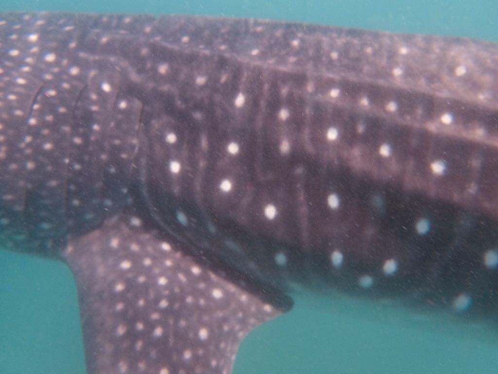 6c44a5e5-dbec-49f9-8a4d-7f5428f0558d