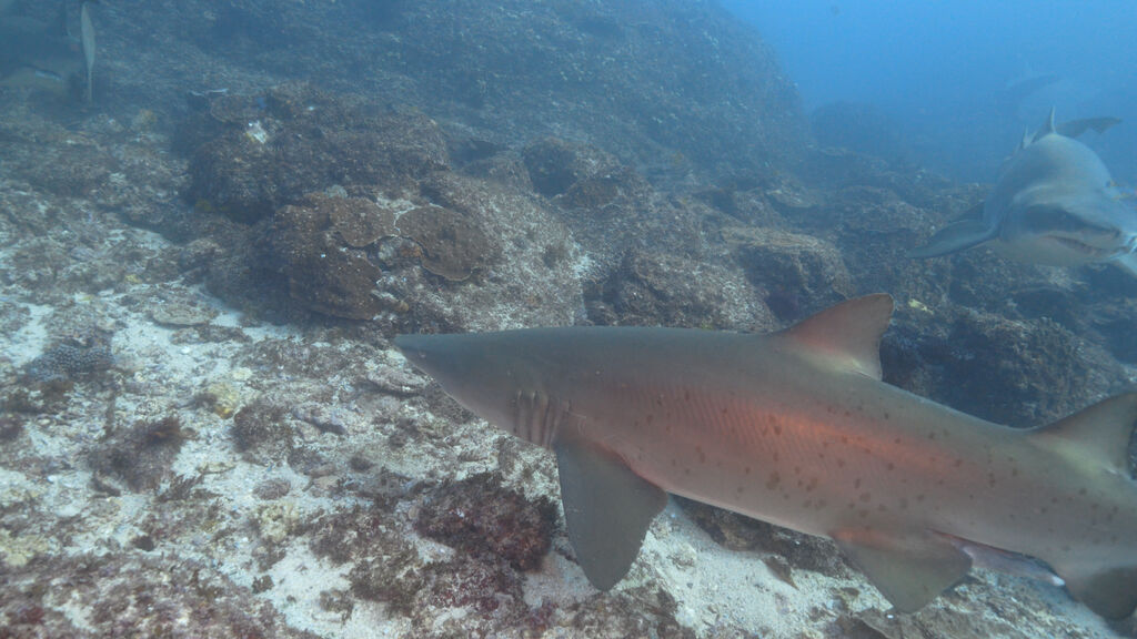 89a8a89e-6df0-45c4-8f5b-b4ae148db06e