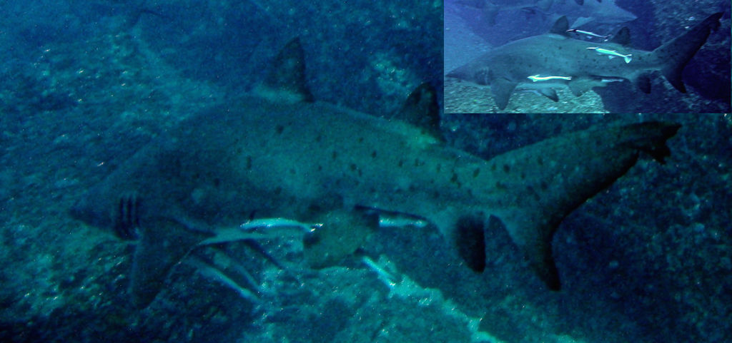 64cb8d3b-e10b-40c8-83f8-1829a5bf5882